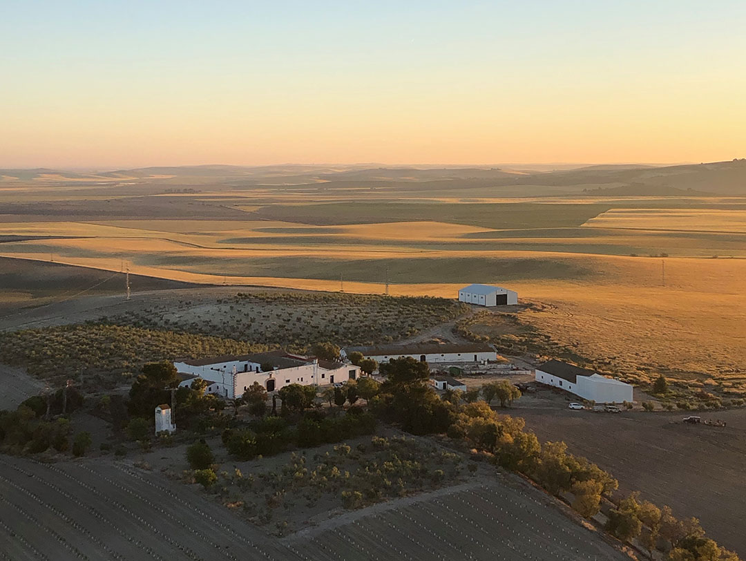 romanito_casa_vinedo_jornada_vuelo_globo03